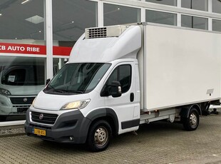 Fiat Ducato 2,3 35M L3 3,0 MJT Kølebil Thermo King 180HK Ladv./Chas. Man.