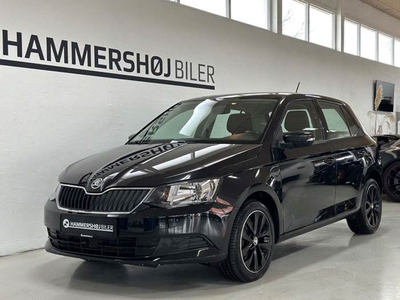 Skoda Fabia 1,0 TSi 110 Ambition Tour DSG