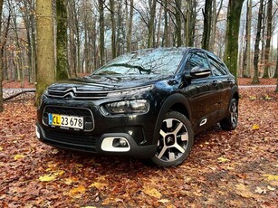 Citroën C4 Cactus 1,5 BlueHDi 100 SkyLine Van