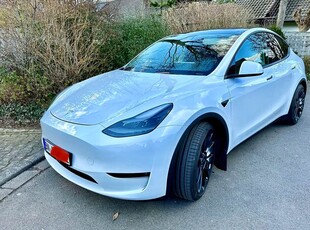 Tesla Model Y Performance