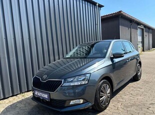 Skoda Fabia 1,0 TSi 110 Ambition DSG