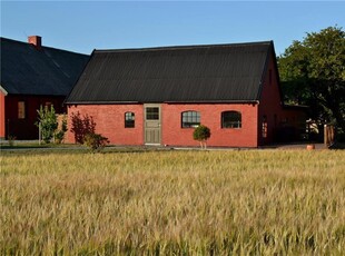 Ferielejlighed - 4 personer - Nordre Lyngvej