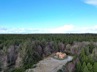 Flot nyrenoveret sommerhus, med fantastisk beliggenhed og med Husby Klitplantage som nærmeste nabo.