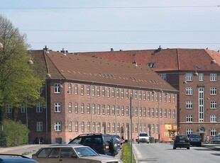 Borgbjergsvej