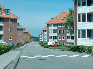 Hasselvænget