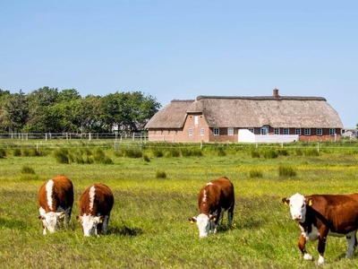 Smukt renoveret Rømø-hus i skønne naturomgivelser