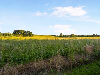 Denne adresse byder på en fin beliggenhed nær grønne områder, hvor de nærliggende marker og bakkede landskab indbyder til lange gå og cykelture. Trente Mølle Naturskole foruden børnepasning kan nås med få minutters kørsel.