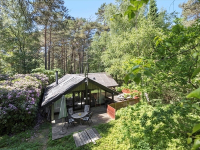 Hyggeligt sommerhus, midt i naturen, tæt på badestrand