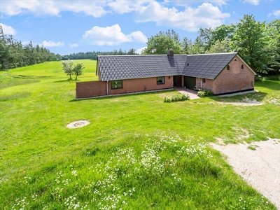 Stort sommerhus på kæmpe naturgrund i Nationalpark Thy