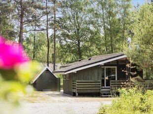 Sommerhus 4 personer Poserekrogen Smarken 3720 kirkeby