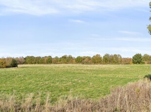 611-3393 Sparresmindevej 9, Nr Frenderup - Landhus i naturskønne omgivelser på Vestmøn