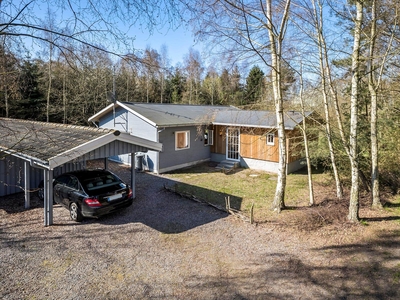 Feriehus ved skov og strand