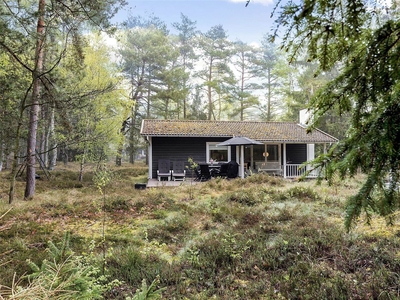 Indbydende sommerhus i skovfyldte omgivelser