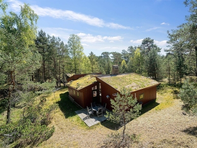 Indbydende arkitekttegnet sommerhus