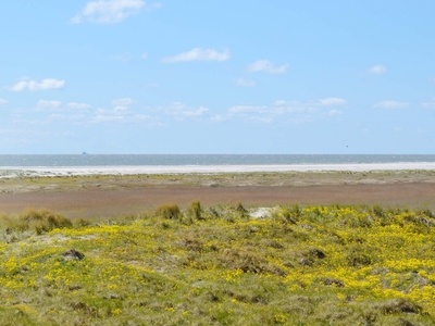 Sommerhus - 4 personer - Strandvejen 61, - Fanø Bad - 6720 - Fanø