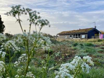 Sommerhus - 5 personer - Fyrreklitten 6, Tornby Strand - Tornby - 9850 - Hirtshals