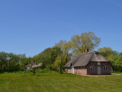 Sommerhus - 6 personer - Hattesvej