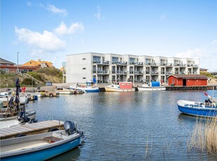 Sommerhus 4 personer Mamrelund 6960 Hvide Sande