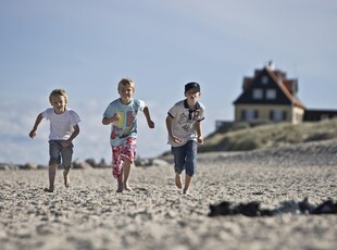 Sommerhus - 8 personer - Lille Skagen 13 - Hovedbygning & Anneks