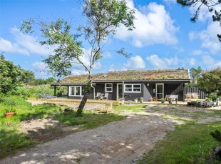 Sommerhus på en utrolig flot naturgrund med lyng og porse