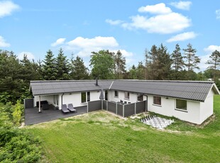 Sommerhus - 8 personer - Brudbjergvej - Lønne - 6830 - Nr. Nebel