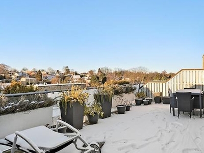 Møbleret penthouse med stor solrig terrasse