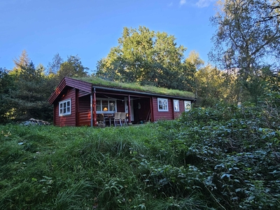 Sommerhus - 10 personer - Møllevangsvej - 8400 - Ebeltoft