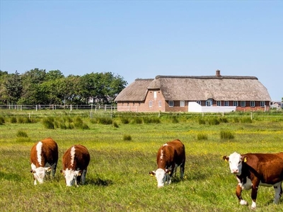 Sommerhus 6 personer Juvrevej Toftum 6792 Rm