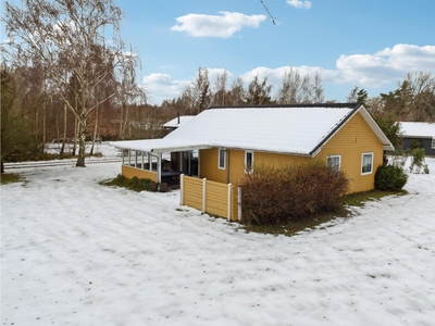 Sommerhus - 6 personer - Paradisæblet