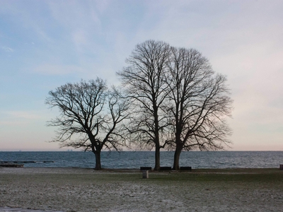 4 værelses hus på 221 m