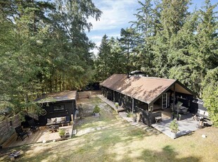 Dejligt sommerhus og hyggelig oase tæt på Balkas populære sandstrand