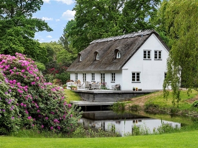 Nybygget stråtækt idyl med skoven som nabo og egen sø ( 242m2)