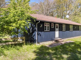 Dejligt sommerhus i Sorthat