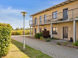 LYS OG STILREN ANDELSLEJLIGHED MED SYDVENDT TERRASSEHAVE