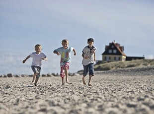 Sommerhus 14 personer Thagrdsvej 9990 Skagen By 9990 Skagen