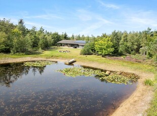 Sommerhus for hele familien med unikke udenomsarealer