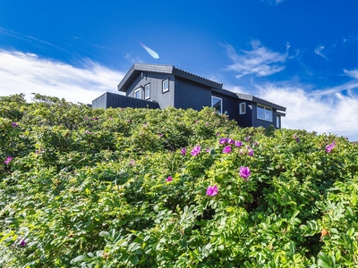 Sommerhus 2 personer Rosenvej Vejers Nordstrand 6853 Vejers Strand