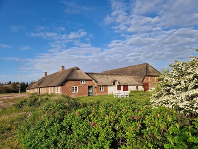 Sommerhus 4 personer Holmsland Klitvej Nr Lyngvig 6960 Hvide Sande