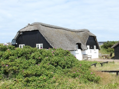 Sommerhus 6 personer Dortheasvej Bjerregrd 6960 Hvide Sande