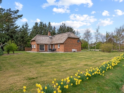 Sommerhus - 6 personer - Skindbjergvej - Fjand - 6990 - Ulfborg