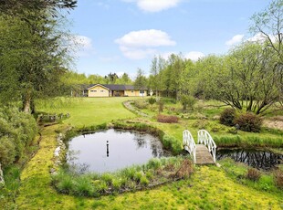 Charmerende sommerhus på ugeneret naturgrund i Lyngså