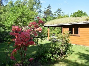 Sommerhus - 4 personer - Søndervangen