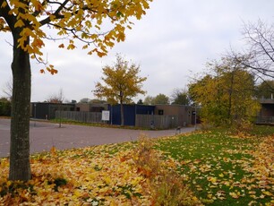 Galgebakken Torv