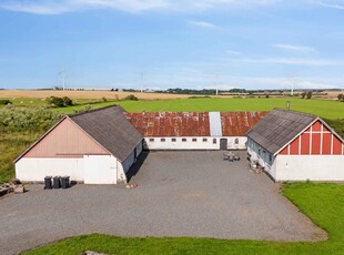 Sommerhus - 7 personer - Asselsvej - 7990 - Øster Assels