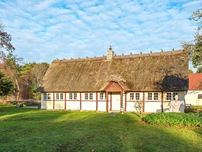 Sommerhus - 4 personer - Skovvej