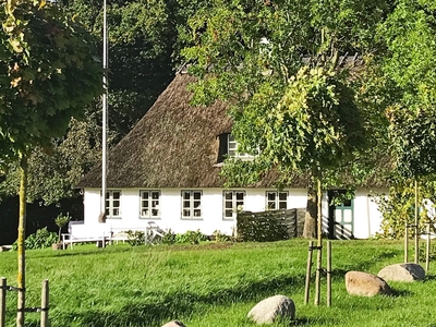 Sommerhus - 6 personer - Sønder Kettingskov - Nørre Kettingskov - 6440 - Augustenborg