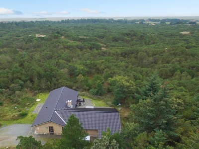 Sommerhus - 8 personer - Lommen