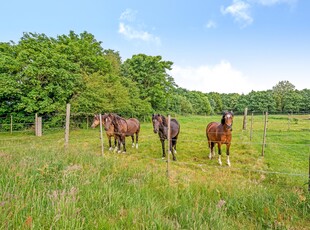 481-5260 Vembvej 23 - Dejligt sted på landet med ca. 2,8 Ha jord – oplagt til hestehold