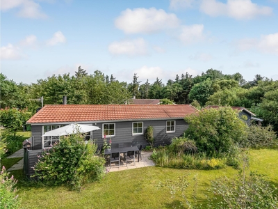 Sommerhus - 6 personer - Fasanvej - Ejsingholm - 7830 - Vinderup