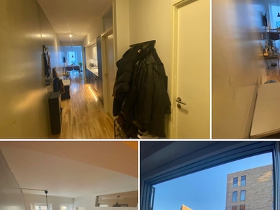 2 roomies søges til Ceresbyen,